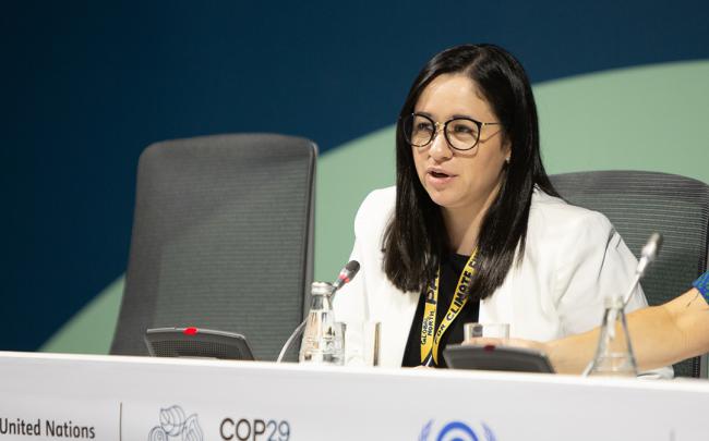 Elena Cristina Pereira Colindres, Honduras- SCF for COP 29 - 13 Nov2024