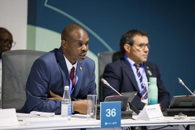 Prosper Dodiko, Minister of Environment, Agriculture and Livestock, Burundi 