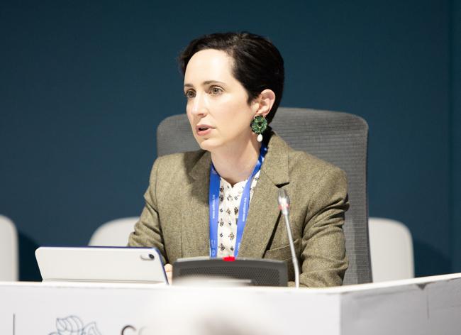 Kate Warren, Devex- Accelerating Climate Action and Finance - 15 Nov2024