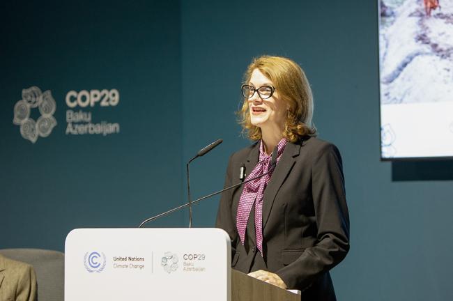 Lisa Doughten, Director, Humanitarian Financing and Resource Mobilization, OCHA - Accelerating Climate Action and Finance - 15 Nov2024