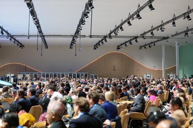 Open-ended single-setting “Qurultay” convened by the COP29 President