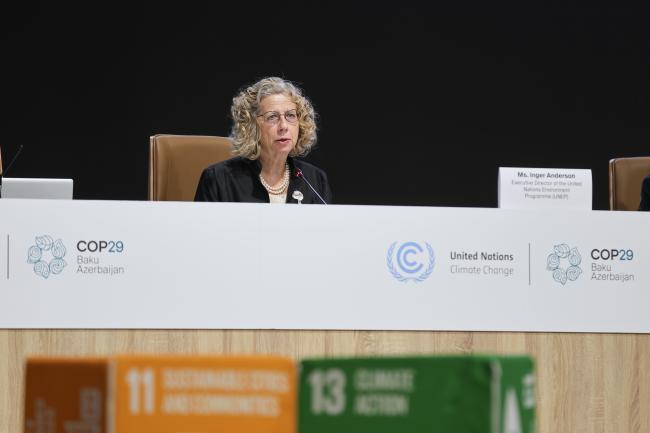 Inger Andersen, Executive Director, UN Environment Programme