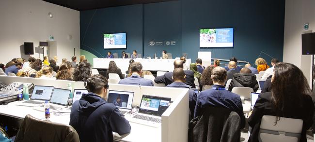 View of the room - Accelerating Climate Action and Finance - 15 Nov2024