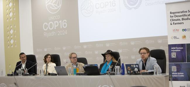 Dais - Regenerative Solutions - UNCCC COP16 - 9December2024