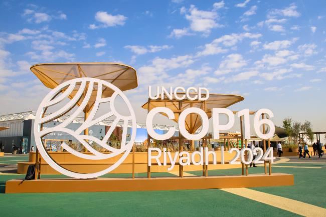 UNCCD COP 16 logo 