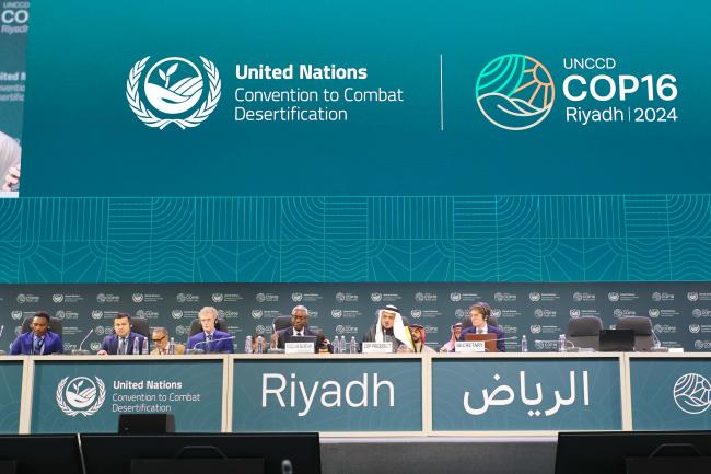 View of the panel during the closing of the high-level session 